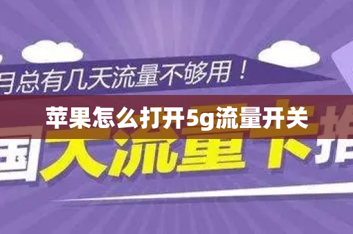 苹果怎么打开5g流量开关