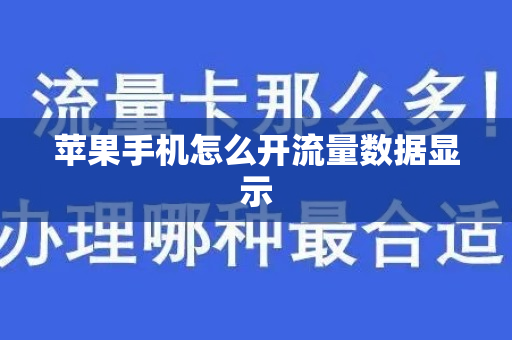 苹果手机怎么开流量数据显示