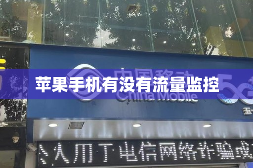 苹果手机有没有流量监控