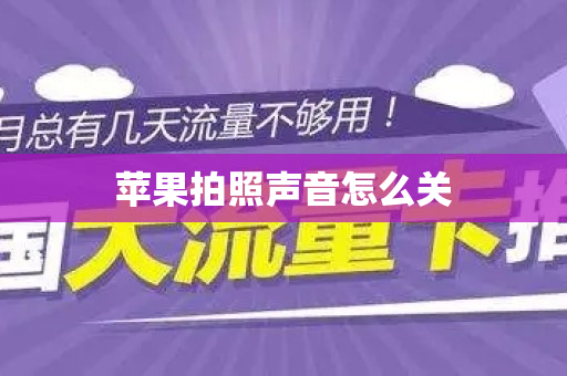 苹果拍照声音怎么关