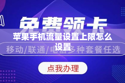 苹果手机流量设置上限怎么设置