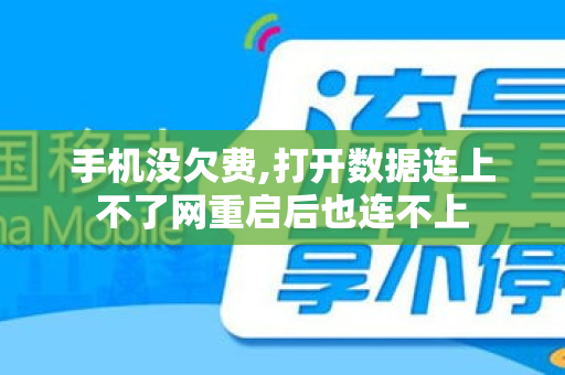 手机没欠费,打开数据连上不了网重启后也连不上