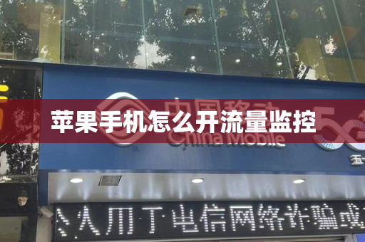 苹果手机怎么开流量监控