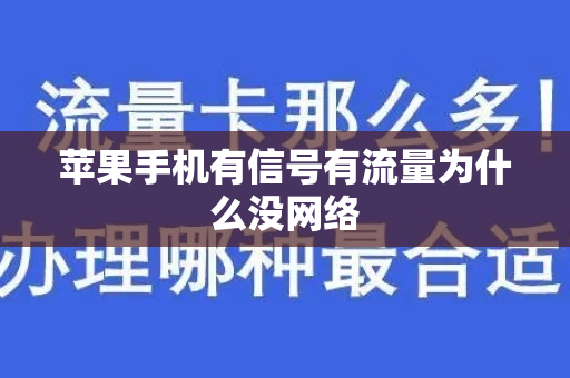 苹果手机有信号有流量为什么没网络