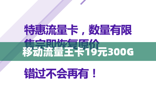 移动流量王卡19元300G