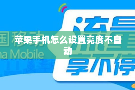 苹果手机怎么设置亮度不自动
