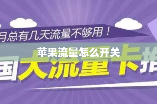 苹果流量怎么开关