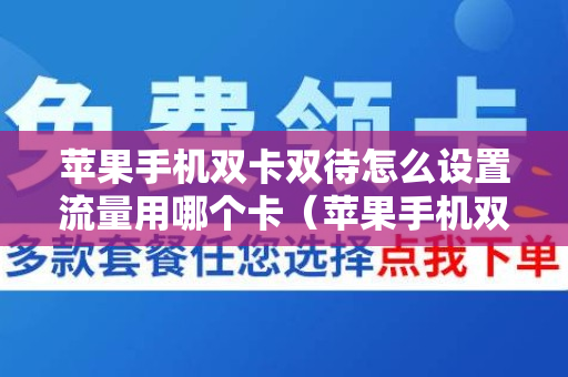 苹果手机双卡双待怎么设置流量用哪个卡（苹果手机双卡怎么设置用哪个卡的流量）