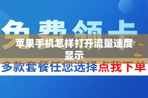 苹果手机怎样打开流量速度显示