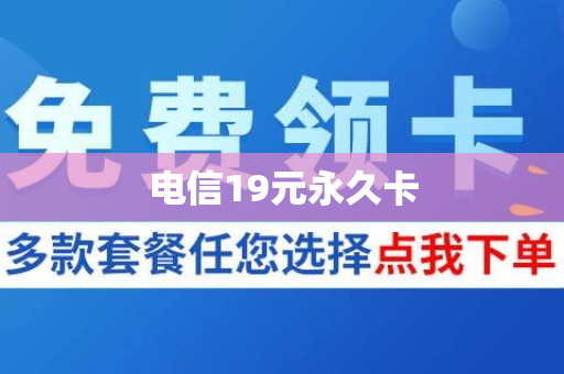 电信19元永久卡