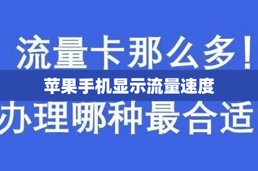 苹果手机显示流量速度