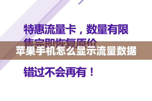 苹果手机怎么显示流量数据