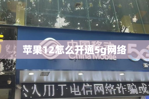 苹果12怎么开通5g网络