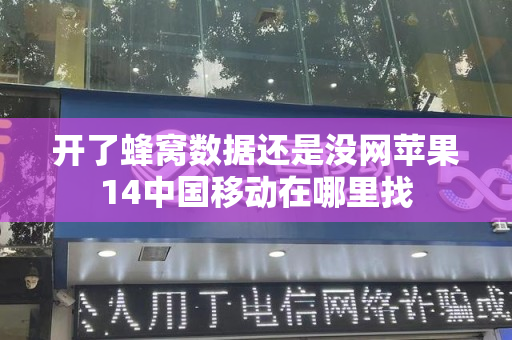 开了蜂窝数据还是没网苹果14中国移动在哪里找