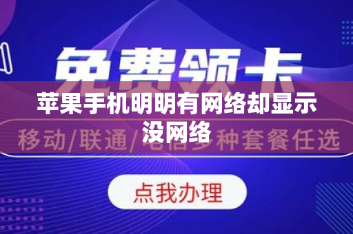 苹果手机明明有网络却显示没网络