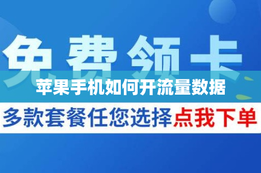苹果手机如何开流量数据