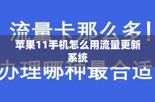 苹果11手机怎么用流量更新系统