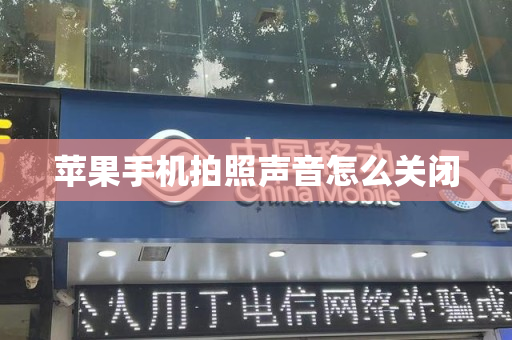苹果手机拍照声音怎么关闭