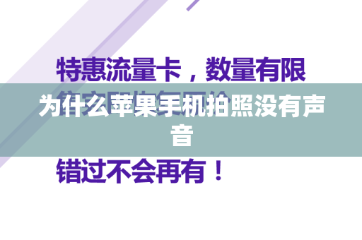 为什么苹果手机拍照没有声音