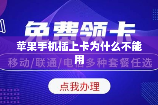 苹果手机插上卡为什么不能用