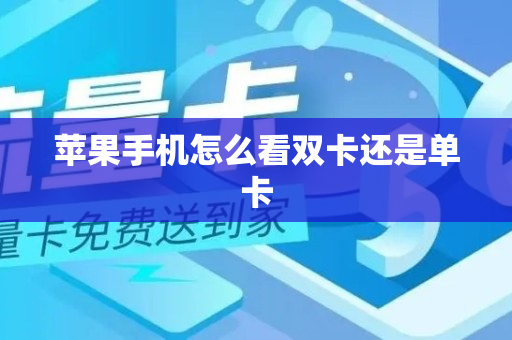 苹果手机怎么看双卡还是单卡