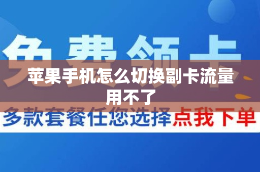 苹果手机怎么切换副卡流量用不了