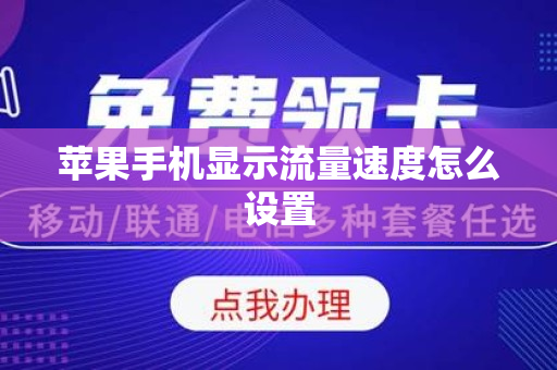 苹果手机显示流量速度怎么设置