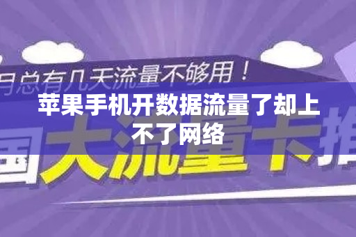 苹果手机开数据流量了却上不了网络