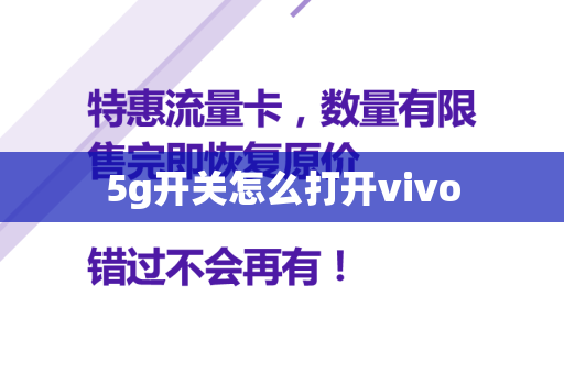 5g开关怎么打开vivo