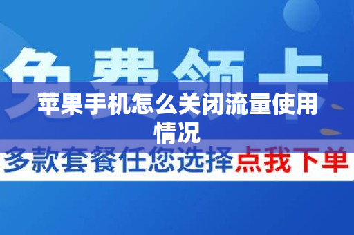苹果手机怎么关闭流量使用情况