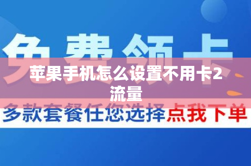 苹果手机怎么设置不用卡2流量
