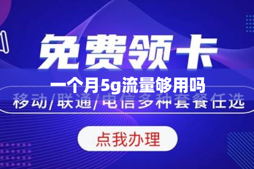 一个月5g流量够用吗