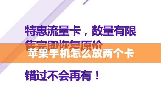 苹果手机怎么放两个卡