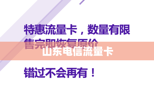 山东电信流量卡