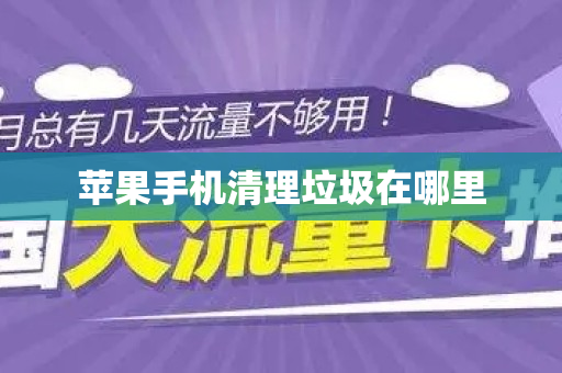 苹果手机清理垃圾在哪里