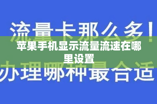 苹果手机显示流量流速在哪里设置