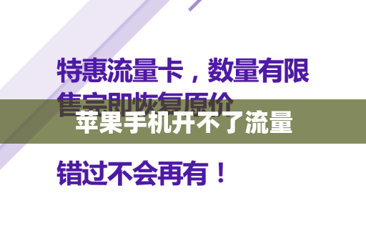 苹果手机开不了流量