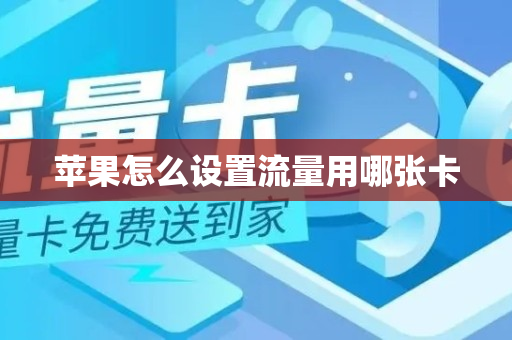 苹果怎么设置流量用哪张卡