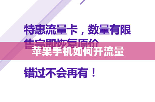 苹果手机如何开流量