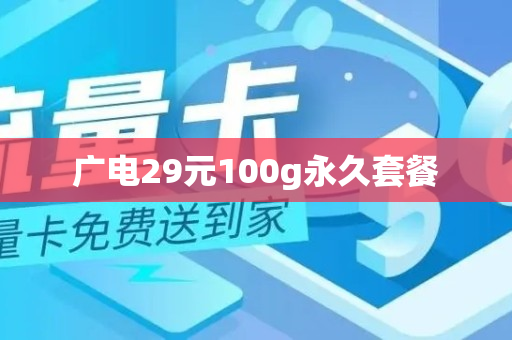 广电29元100g永久套餐