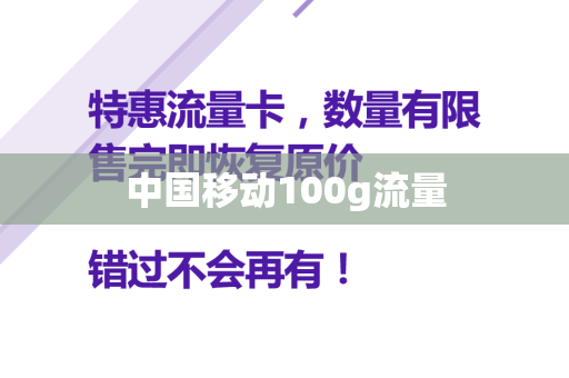 中国移动100g流量