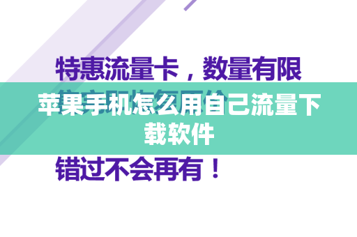 苹果手机怎么用自己流量下载软件
