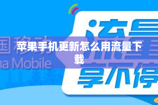 苹果手机更新怎么用流量下载
