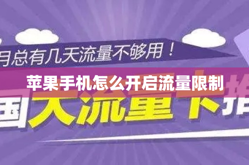 苹果手机怎么开启流量限制