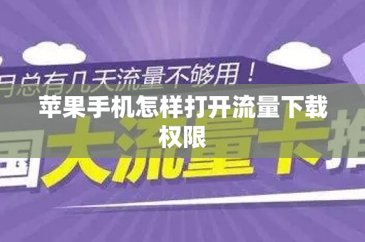 苹果手机怎样打开流量下载权限