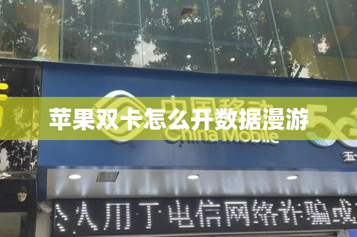 苹果双卡怎么开数据漫游