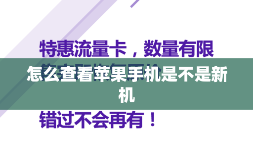 怎么查看苹果手机是不是新机