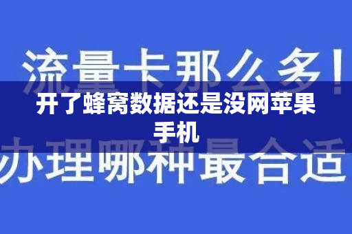 开了蜂窝数据还是没网苹果手机