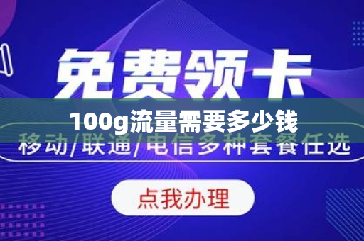 100g流量需要多少钱