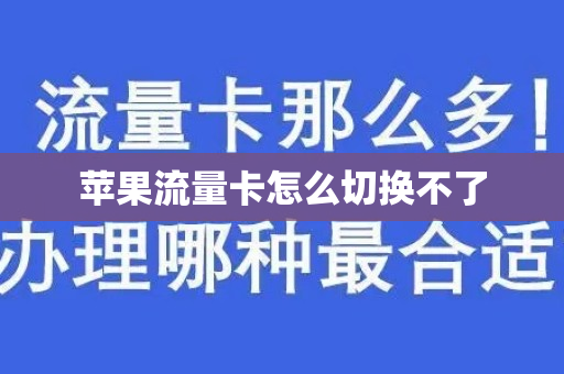 苹果流量卡怎么切换不了